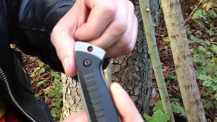 Нож Gerber WARRANT TANTO
